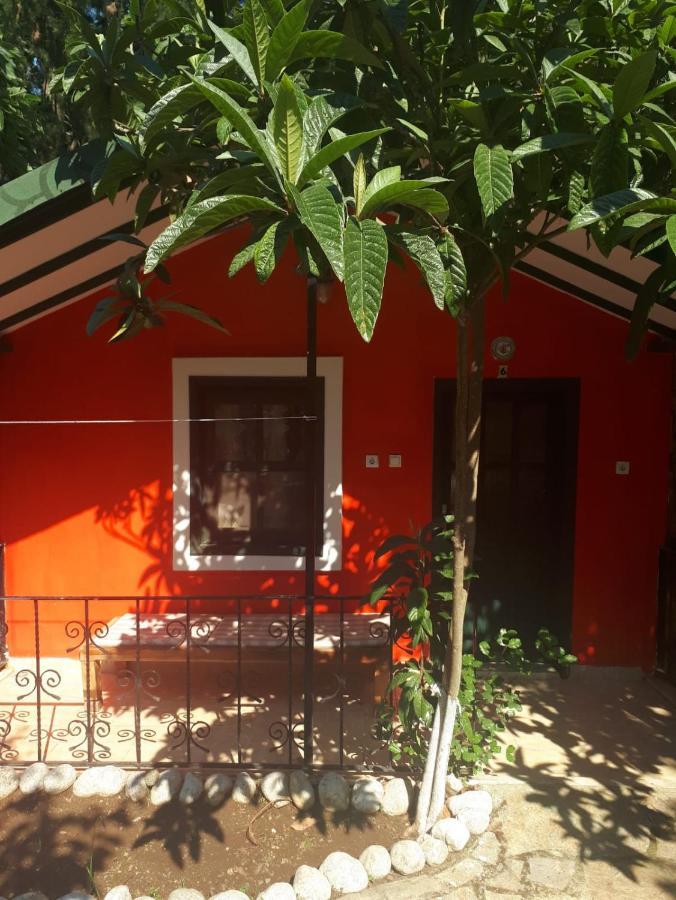 Likya Saklibahce Hotel Kemer  Luaran gambar