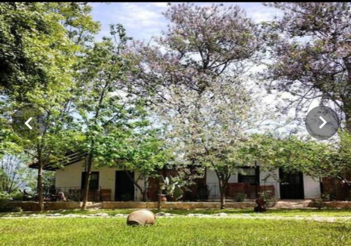 Likya Saklibahce Hotel Kemer  Luaran gambar
